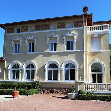 Chateau Blanchard Chazelles-sur-Lyon Экстерьер фото